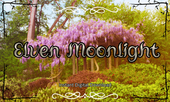 Elven Moonlight: A Font That Brings Fantasy and Nature to Your Designs